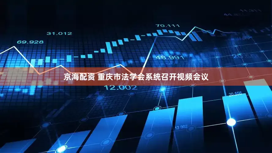 京海配资 重庆市法学会系统召开视频会议