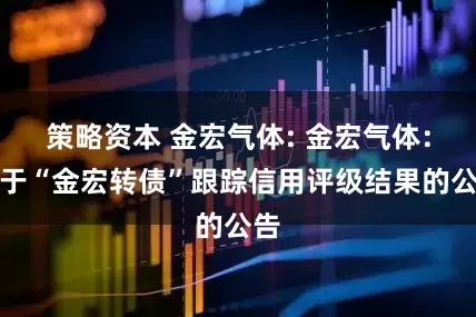 策略资本 金宏气体: 金宏气体：关于“金宏转债”跟踪信用评级结果的公告
