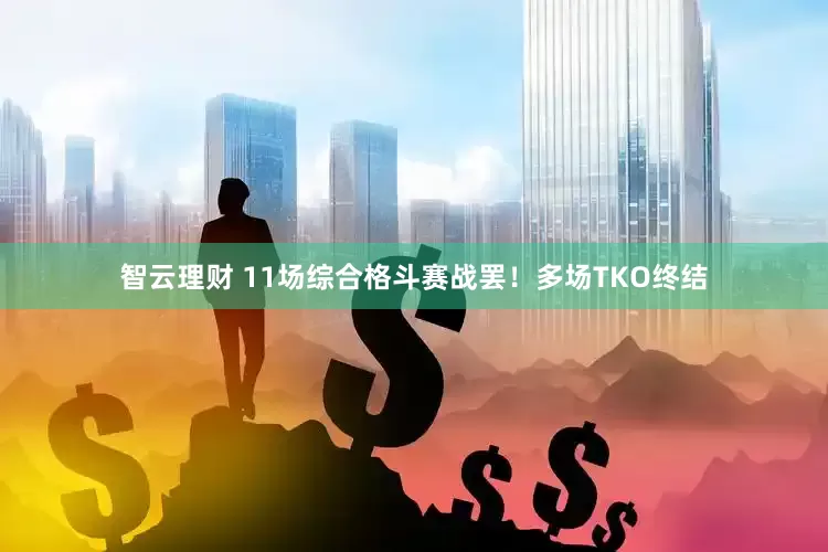 智云理财 11场综合格斗赛战罢！多场TKO终结