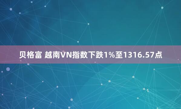 贝格富 越南VN指数下跌1%至1316.57点