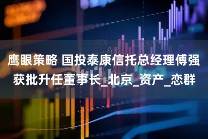 鹰眼策略 国投泰康信托总经理傅强获批升任董事长_北京_资产_恋群