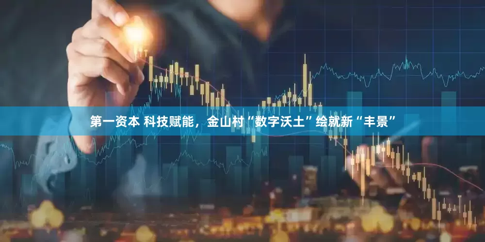 第一资本 科技赋能，金山村“数字沃土”绘就新“丰景”